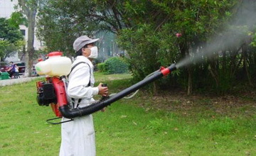 园林灭蚊杀虫施工