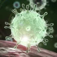 应该如何预防新型冠状病毒